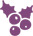cassis-icon